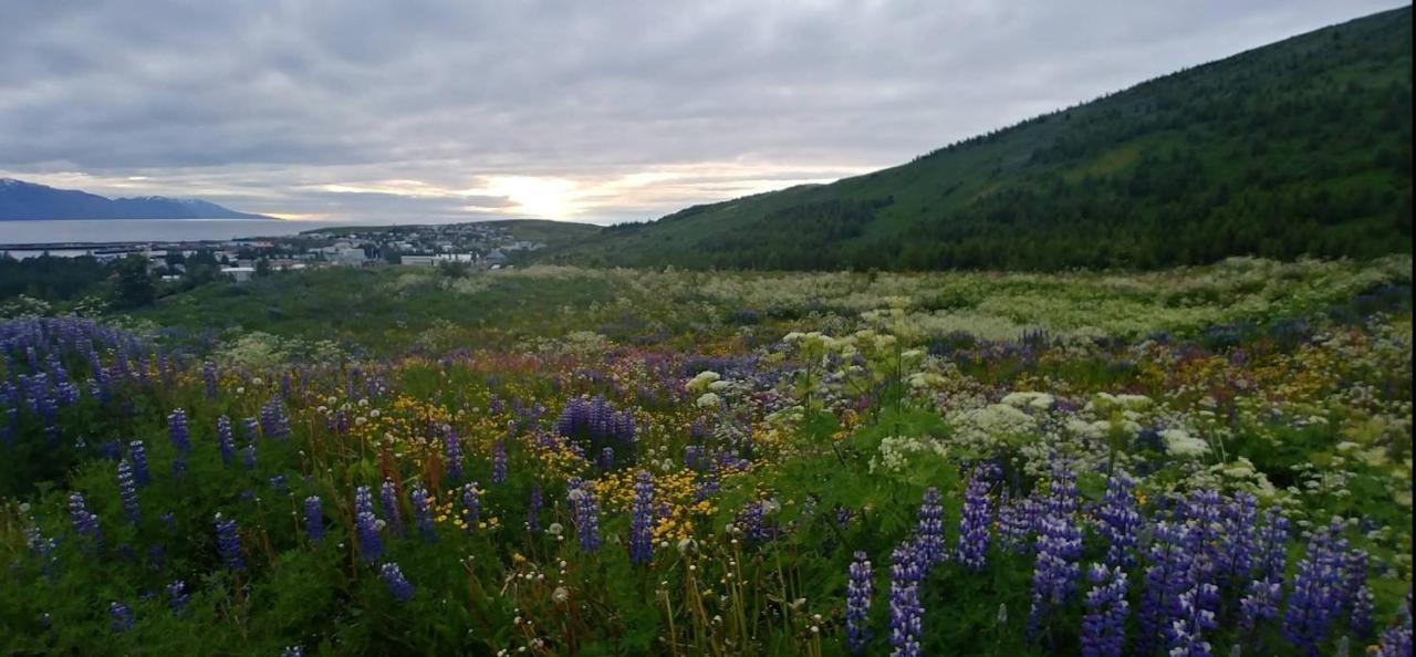 B&B Rooms Husavik 3 المظهر الخارجي الصورة