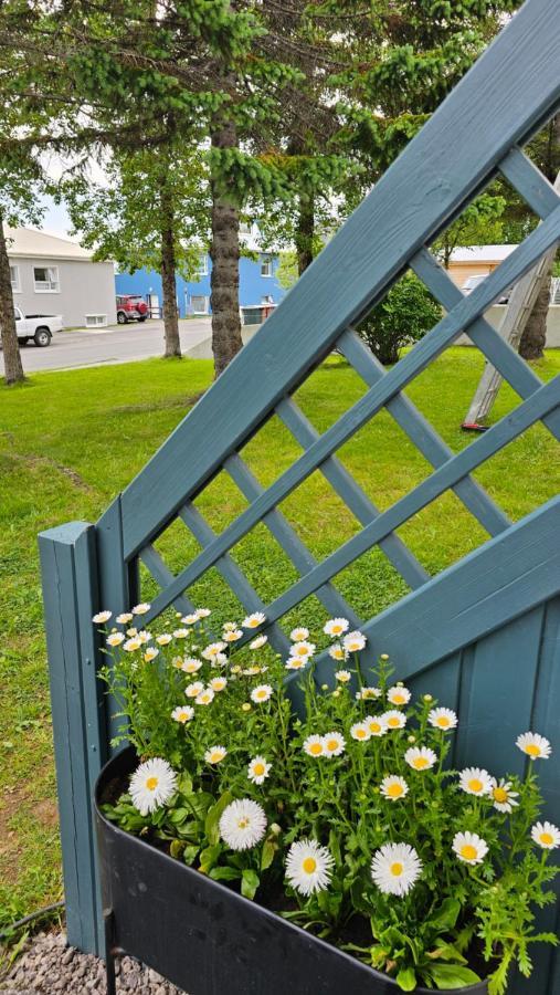 B&B Rooms Husavik 3 المظهر الخارجي الصورة